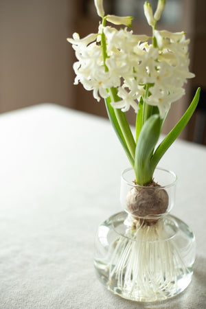 Bulb Forcing Vase